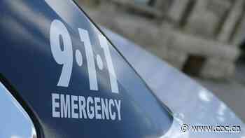 Girls, 7 and 9, found after going missing in Winnipeg Monday evening