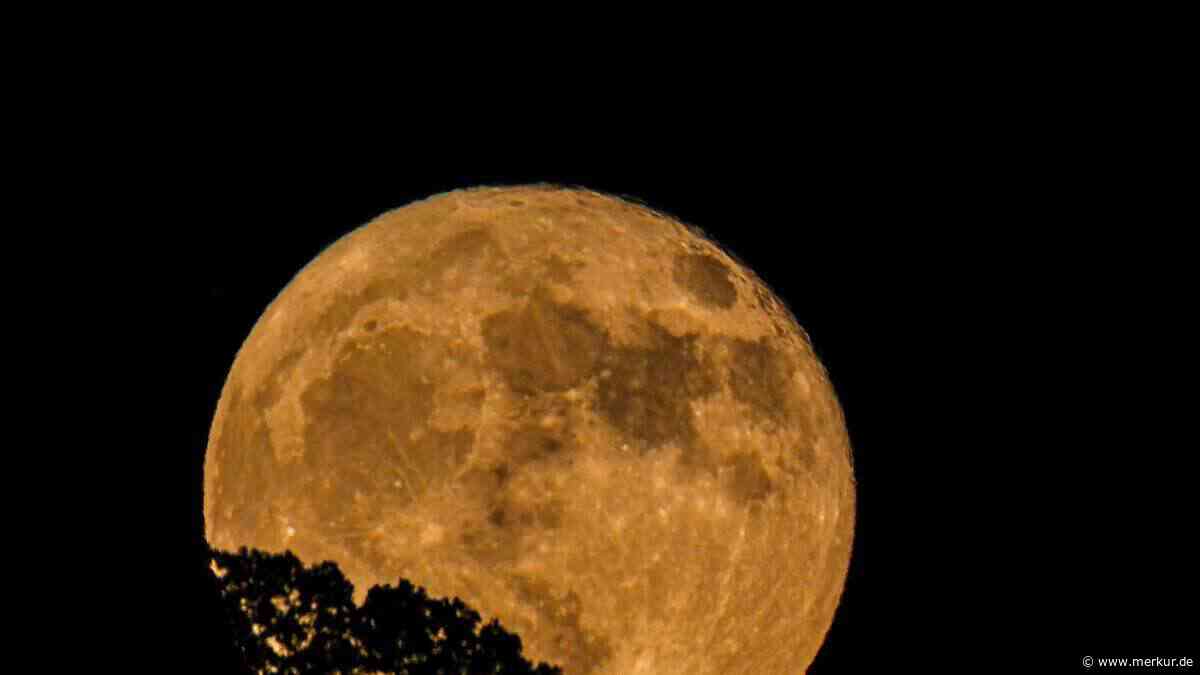 „Erscheint uns viel größer“: Was hinter dem ungewöhnlich großen Juli-Vollmond steckt