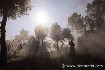 Nu au milieu des flammes, le pyromane à l’origine d’un feu dans le Var ce mardi, est stoppé par les gendarmes