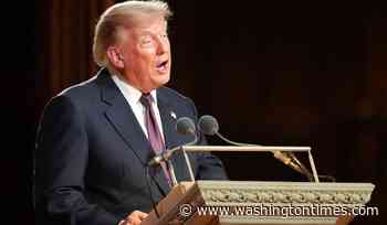 'A true American original': Trump lionizes Lindsey Graham