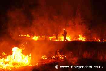 Europe wildfires latest: French evacuation may be largest peacetime exodus as new heatwave hits Bordeaux