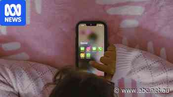 Warning social media giants might wear fines to help sink the age ban