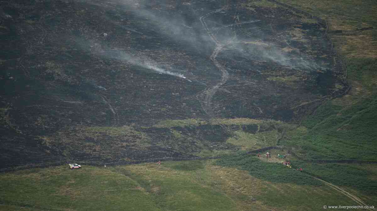 Wildfire warning issued as over 200 incidents recorded ahead of fourth heatwave