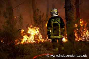 Wildfires burn near France’s Bordeaux as drought puts vineyards under pressure