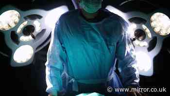 Woman given £12million payout after vital organ accidentally removed in 'devastating surgical error'