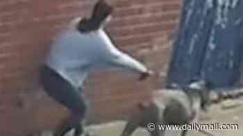 Children, aged six and 11, rushed to hospital after being attacked by a dog at playground: Police release CCTV