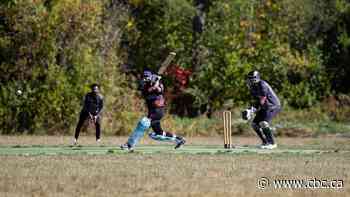 Mobile cricket pitch up for approval for Comox Valley club