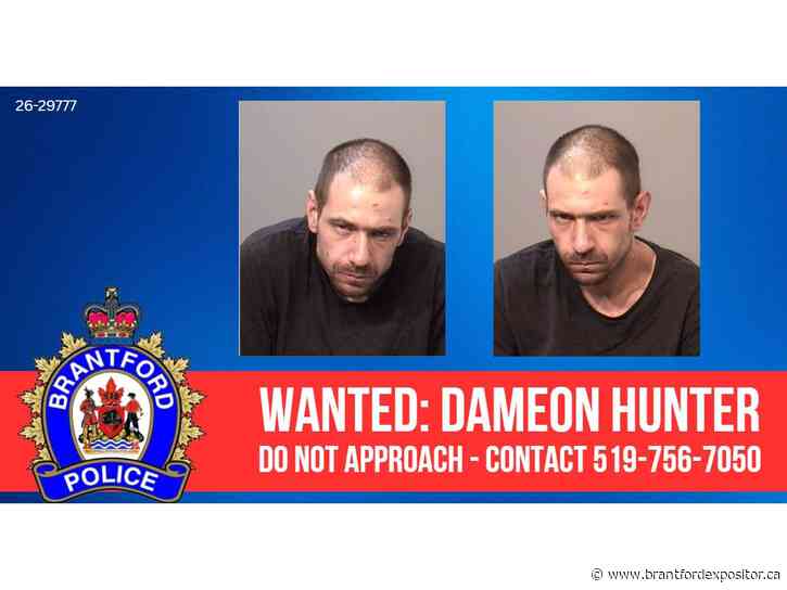 Brantford Police issue arrest warrant for stabbing suspect
