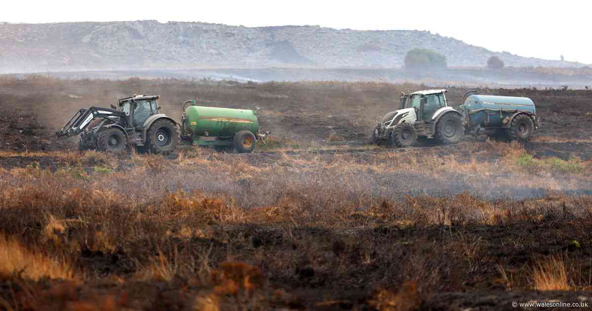 Heartbreaking pictures show scale of devastation as Blaenavon wildfire burns for tenth day