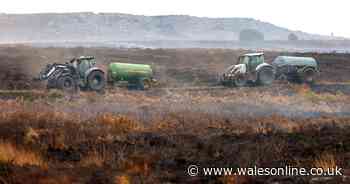 Heartbreaking pictures show scale of devastation as Blaenavon wildfire burns for tenth day