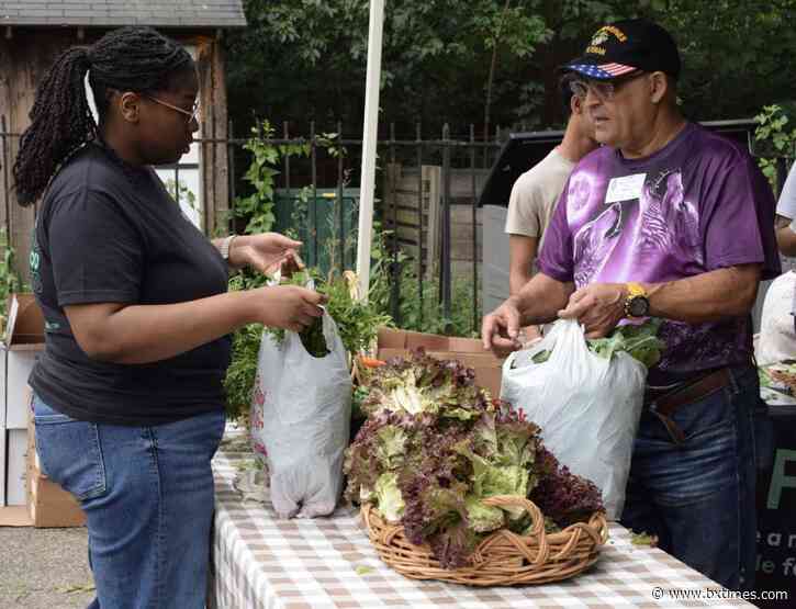 Harvesting Health Market returns for its fourth year, brings free farm-fresh produce to the Bronx