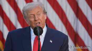 Trump says teen lifeguard in viral rescue will get 'highest civilian honor'