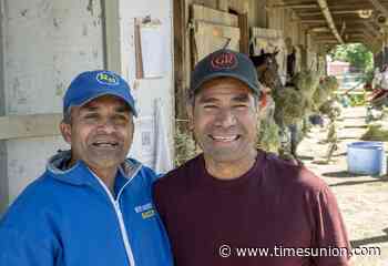Brothers Gustavo and Rudy Rodriguez seek training success at Saratoga