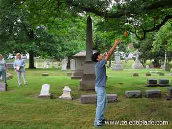 Tree by tree, Toledo teens climb, prune, and protect city’s urban forest
