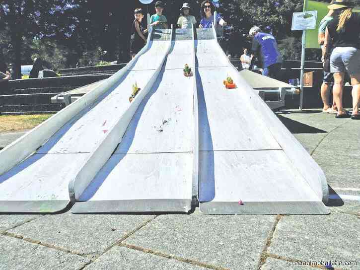 Ladysmith Days returns with free family fun and community spirit