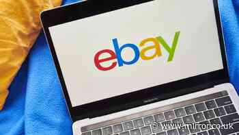 Couple paid £37.5m by eBay after they were sent cockroaches and bloody pig mask