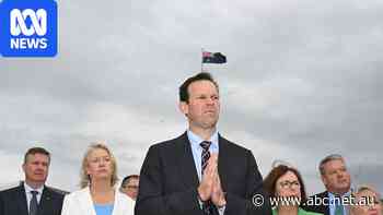 Live: Canavan says he would not have accepted paid trip after Hanson declares Italy stay