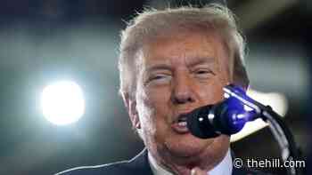 Wall Street Journal editorial board calls Trump wrong about nixing Senate filibuster for SAVE America Act: 'A terrible trade'