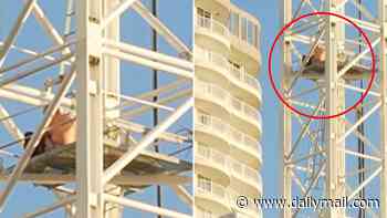 Emergency operation in Gold Coast as man scales crane and refuses to come down