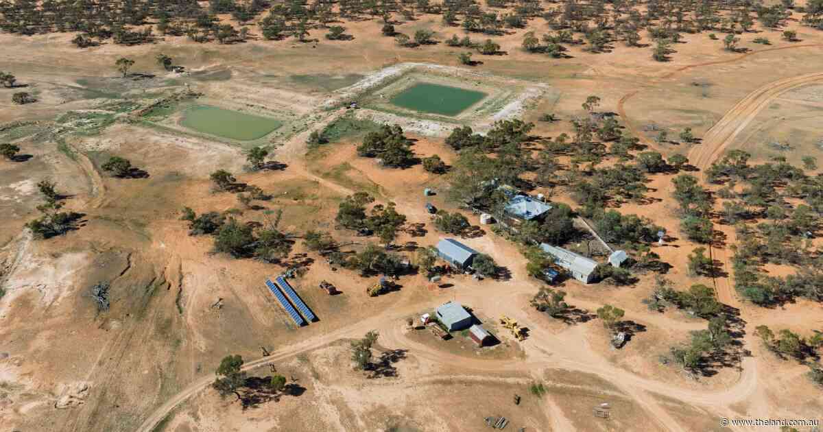 Big date announced for major 126,000 acre western grazing property | Photos