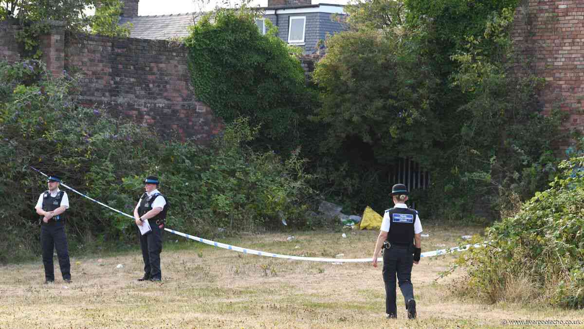 Kidnap arrest after man 'held against his will' on Lodge Lane