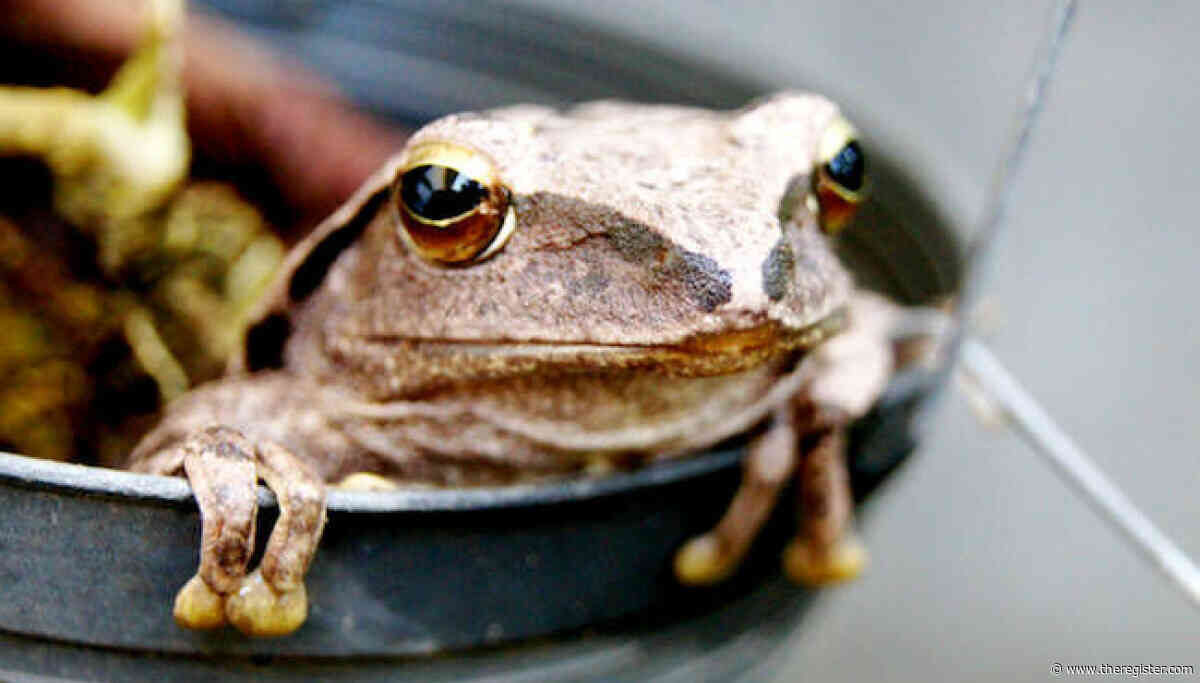 Looks like JFrog's 0-days let OpenAI's models hack Hugging Face