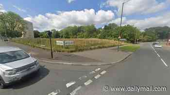 Boy, nine, is fighting for his life after Birmingham crash: Woman and man are arrested