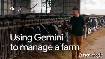How Gemini Flash agents are helping a Michigan dairy farmer