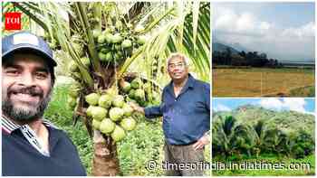 R Madhavan turns barren land into lush coconut farm in Tamil Nadu