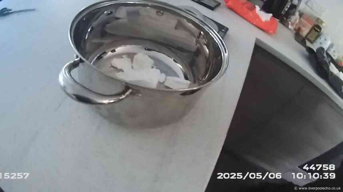 Unseen footage shows moment police bring down 'big fella's' 24/7 drug plot