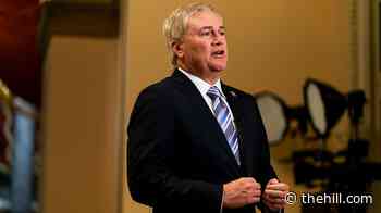 Comer warns Fauci: Biden's pardon doesn't cover testimony this week