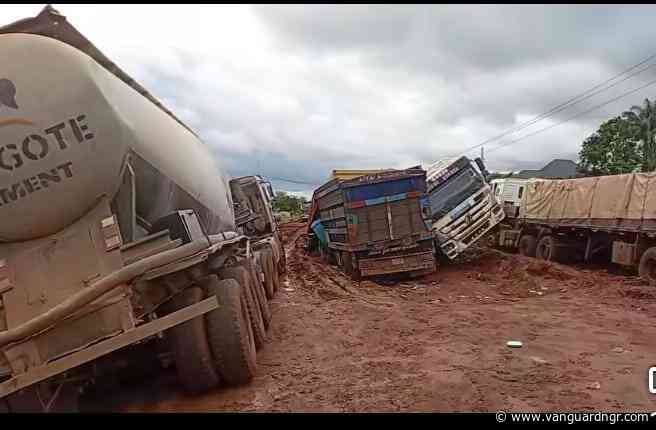 Vehicle movement halted as Delta road collapses