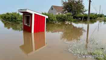 ‘Water everywhere:’ Flooding impacts homes, farms and vineyards in Niagara after overnight rainstorm