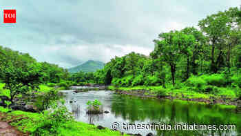 Centre notifies 7th draft for ecological zones in Western Ghats