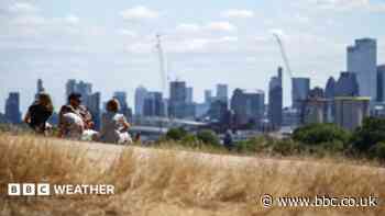 Amber heat health alerts to come into force as heatwave reaches 35C peak