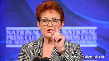 The first things Pauline Hanson would do if she is elected Prime Minister - from ending Welcome to Country ceremonies to slashing immigration