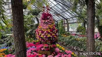 Allan Gardens could get a major greenhouse expansion if the city puts in $10M: councillor