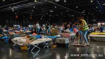 ‘Doing their best to survive’: Inside Bordeaux’s wildfire refugee centre