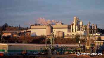 Ottawa lends $100M to company with B.C., Alberta pulp mills to offset tariff impacts