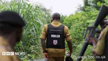 How Mexican drug cartels have outsourced meth labs to Nigeria