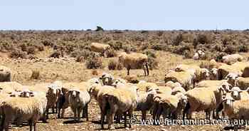 Cattle firm's stunning buy of vast Nullarbor sheep stations almost complete