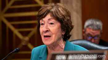 Collins says State Department will reinstate funding for global humanitarian vaccine alliance