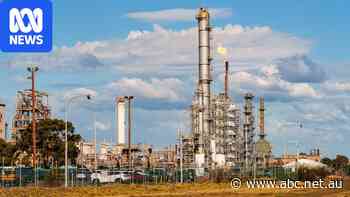 How much are you prepared to pay for fuel security?