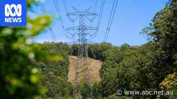 Hunter transmission line approved after rerouting around homes, frogs