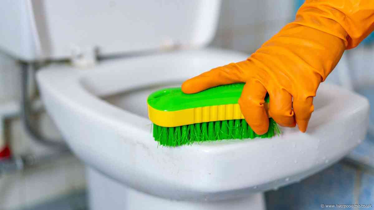 Toilets will be clean and limescale-free if you ditch bleach for £2 item