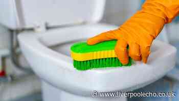 Toilets will be clean and limescale-free if you ditch bleach for £2 item