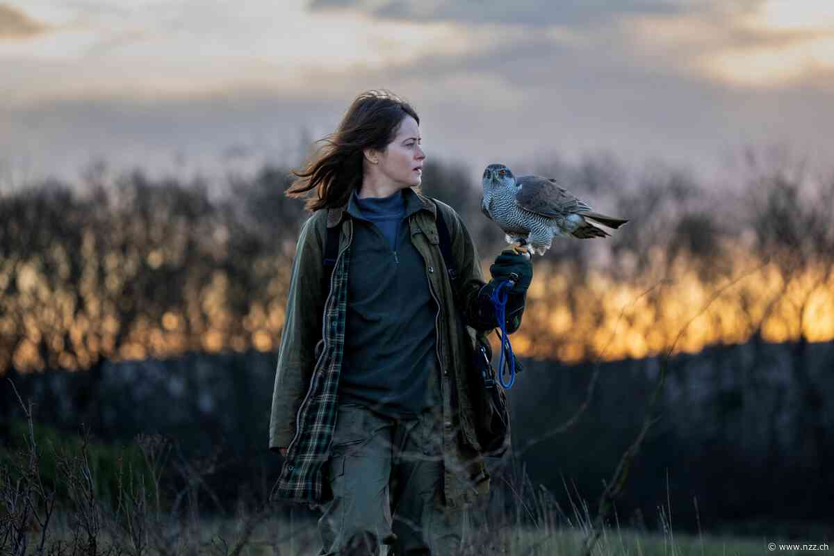 «H Is for Hawk»: Was ein Habicht über Trauer lehren kann