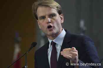Former Harper cabinet minister Chris Alexander to run for mayor of Toronto