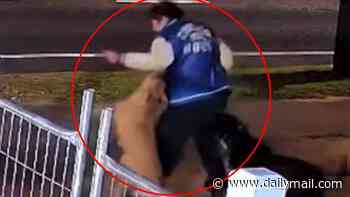 Public housing tenant under fire after his three savage dogs maul two people in separate attacks: 'Put them down'