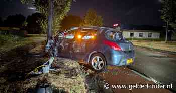 Auto botst tegen boom en vliegt in brand in Gaanderen, een persoon gewond
